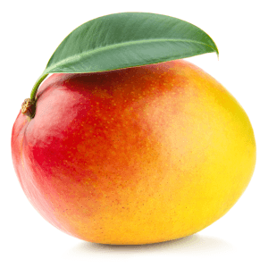 Eine reife Mango-Frucht