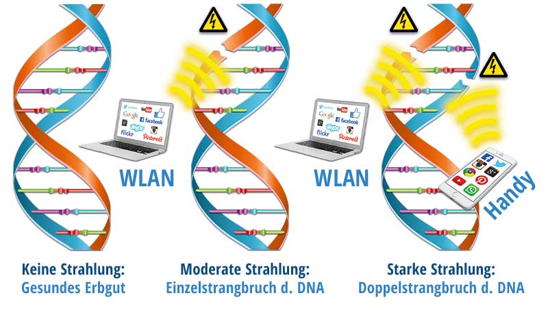 Schädigung der DNA durch Mobilfunk-Strahlung